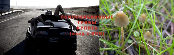 mdpv Алзамай