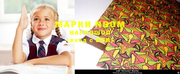 мет Алексин