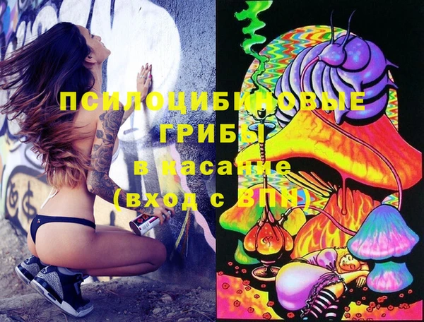мяу мяу мука Алексеевка