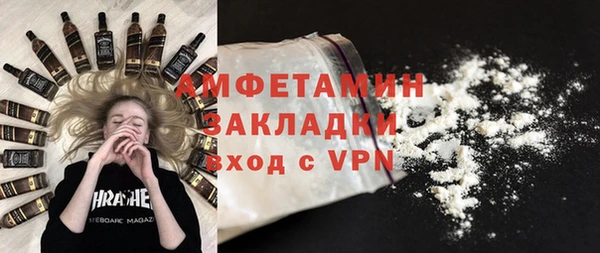 мет Алексин