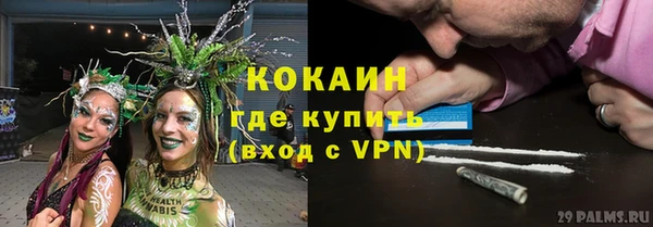 мет Алексин