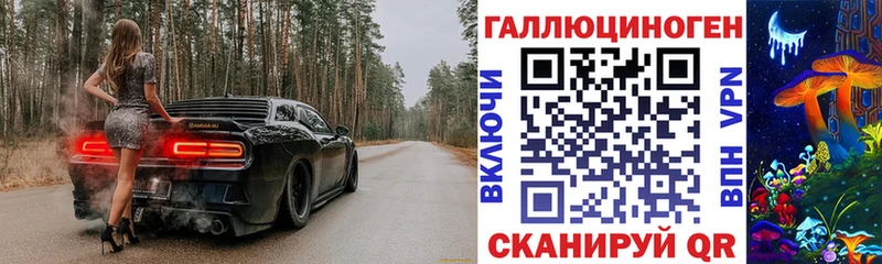 Галлюциногенные грибы Psilocybe Кукмор